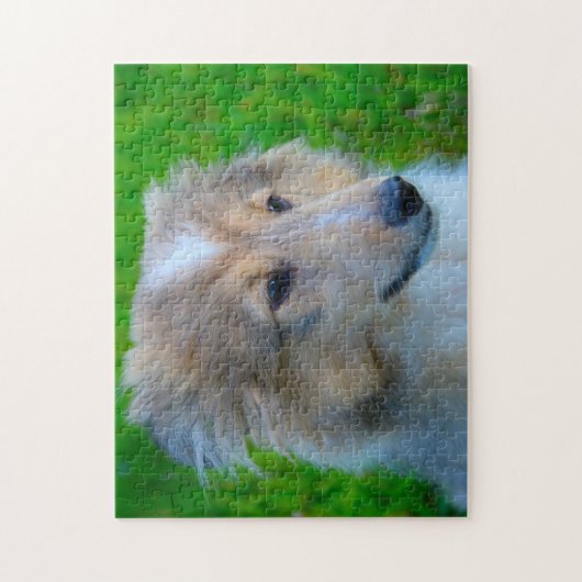 Shetland Sheep Hund Jigsaw. Puzzle (Vertikal)