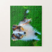 Shetland Sheep Hund Jigsaw. Puzzle (Vertikal)