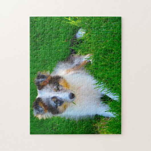 Shetland Sheep Hund Jigsaw. Puzzle (Vertikal)