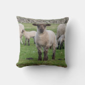 Shetland Sheep Kissen (Vorderseite)