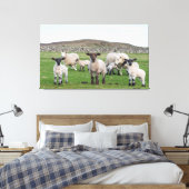 Shetland Sheep Leinwanddruck (Insitu (Schlafzimmer))