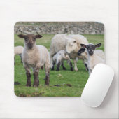 Shetland Sheep Mousepad (Mit Mouse)