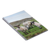 Shetland Sheep Notizblock (Rechte Seite)