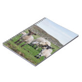 Shetland Sheep Notizblock (Linke Seite)
