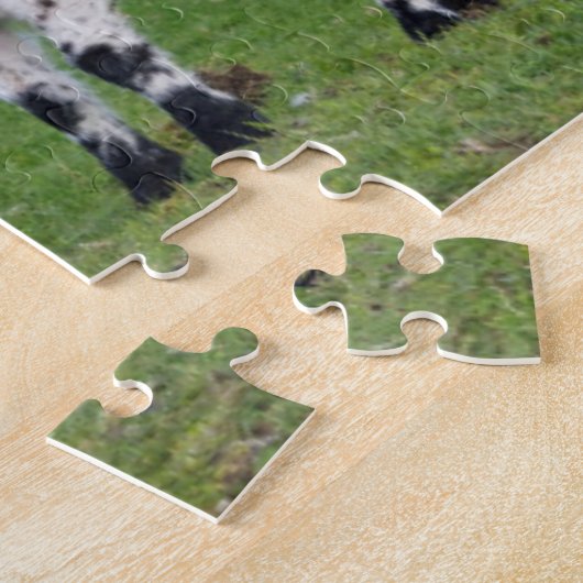 Shetland Sheep Puzzle (Seite)