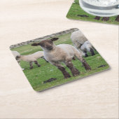 Shetland Sheep Rechteckiger Pappuntersetzer (angewinkelt)