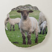 Shetland Sheep Rundes Kissen (Rückseite)