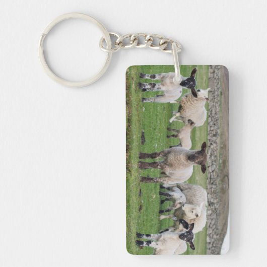 Shetland Sheep Schlüsselanhänger (Vorderseite)