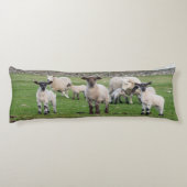 Shetland Sheep Seitenschläferkissen (Rückseite)