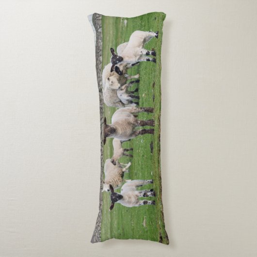 Shetland Sheep Seitenschläferkissen (Vorderseite Vertikal)