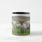 Shetland Sheep Tasse (Zentrum)