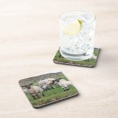Shetland Sheep Untersetzer (Rechte Seite)