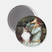 Shetland Sheepdog 18 - Ophelia Sitzplatz Magnet (Vorderseite/Rückseite)