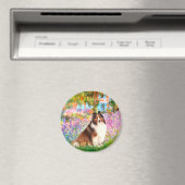 Shetland Sheepdog 7 - Garten Magnet (In Situ (Geschirrspüler))