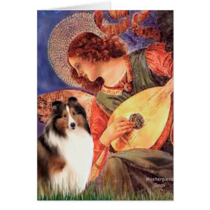 Shetland Sheepdog 7 - Mandolin Engel