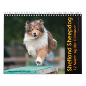 Shetland Sheepdog Agility Calendar Kalender (Titelbild)