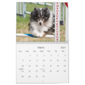 Shetland Sheepdog Agility Calendar Kalender (Mär 2027)