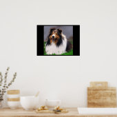 Shetland Sheepdog Art Poster (Küche)