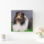 Shetland Sheepdog Art Quadratische Wanduhr (Zuhause)