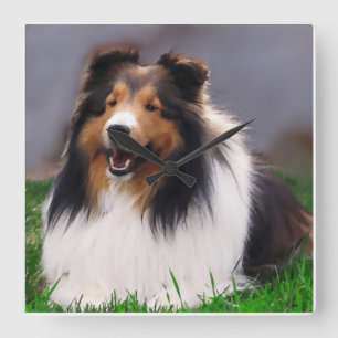 Shetland Sheepdog Art Quadratische Wanduhr