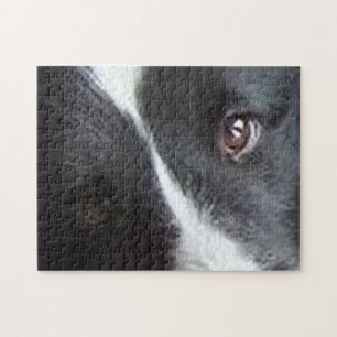 Shetland Sheepdog Augen Puzzle