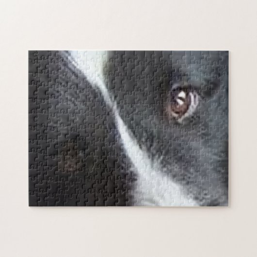 Shetland Sheepdog Augen Puzzle (Horizontal)