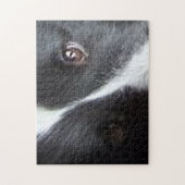 Shetland Sheepdog Augen Puzzle (Vertikal)