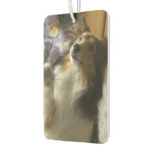 Shetland Sheepdog Begging Autolufterfrischer (Links)