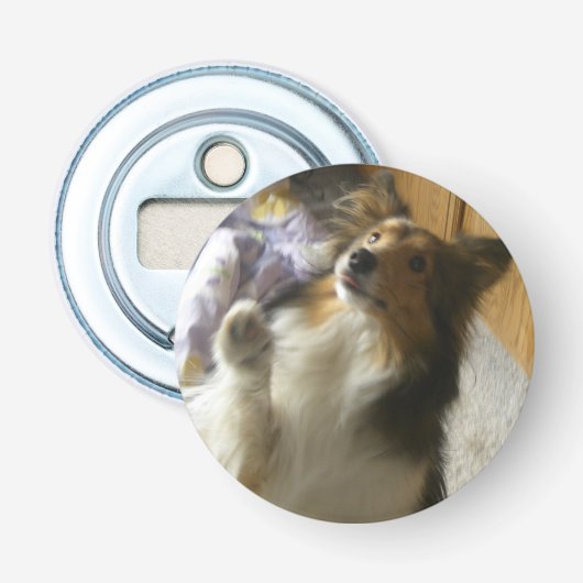 Shetland Sheepdog Bettelt Flaschenöffner (Vorderseite)