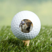 Shetland Sheepdog bettelt Golfball (Insitu T-Shirt)