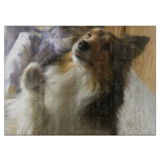 Shetland Sheepdog Bettelt Schneidebrett (Vorderseite)