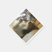Shetland Sheepdog Bettelt Serviette (Ecke)