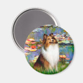 Shetland Sheepdog (Bz) - Lilies 2 Magnet (Vorderseite/Rückseite)