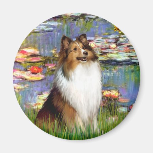 Shetland Sheepdog (Bz) - Lilies 2 Magnet (Vorne)