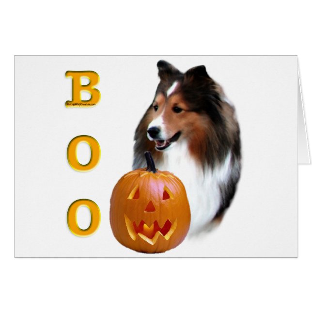 Shetland Sheepdog (Einmal) Boo (Vorderseite (Horizontal))