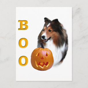 Shetland Sheepdog (Einmal) Boo Postkarte