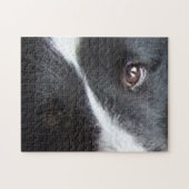 Shetland Sheepdog Eyes Puzzle (Horizontal)