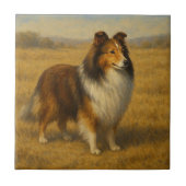 Shetland Sheepdog Fliese (Vorderseite)