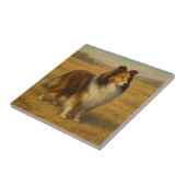 Shetland Sheepdog Fliese (Seite)
