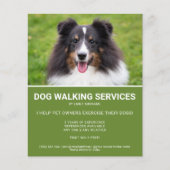 Shetland Sheepdog Foto Green Dog Walker Template Flyer (Vorne)