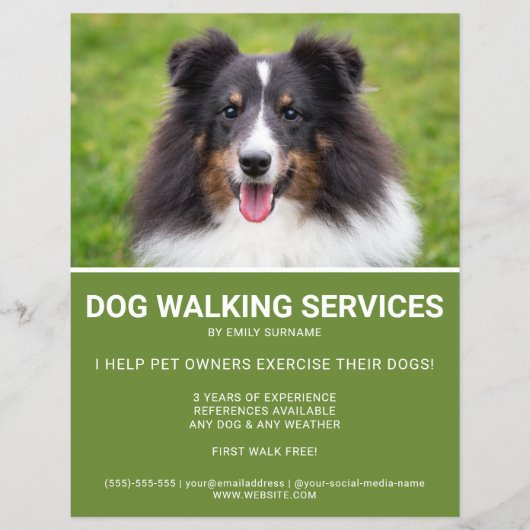 Shetland Sheepdog Foto Green Dog Walker Template Flyer (Vorne)