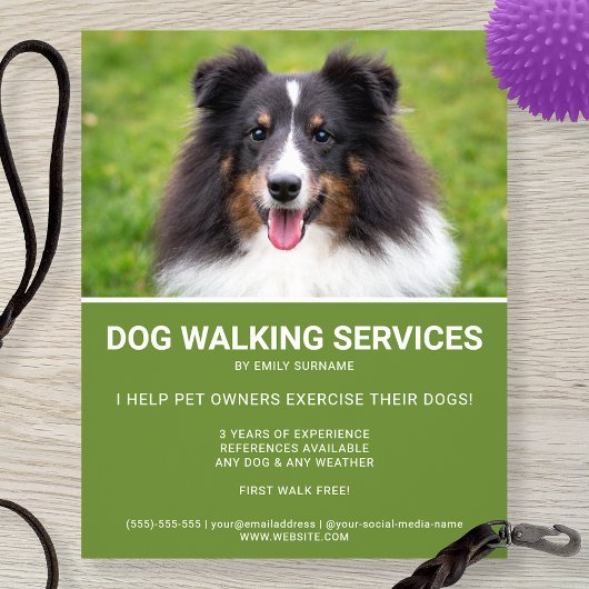 Shetland Sheepdog Foto Green Dog Walker Template Flyer