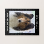 Shetland Sheepdog Foto Hunde Rasse Puzzle (Horizontal)