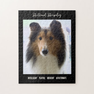 Shetland Sheepdog Foto Hunde Rasse Puzzle