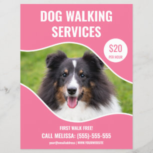 Shetland Sheepdog Foto - Pink Dog Walking Service Flyer