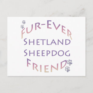 Shetland Sheepdog Furever Friend Postkarte