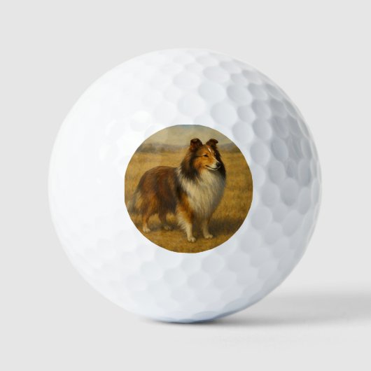 Shetland Sheepdog Golfball (Vorderseite)