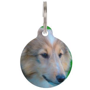 Shetland Sheepdog. Haustiermarke