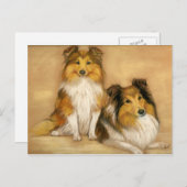 Shetland Sheepdog Hund Postkarte (Vorne/Hinten)