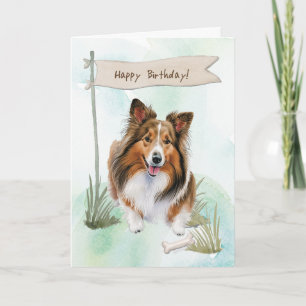 Shetland Sheepdog Hunde brüten unter Geburtstagsze Karte